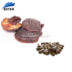 Ganoderma Lucidum 320mg Reishi Shell-Broken Spore Powder Capsule