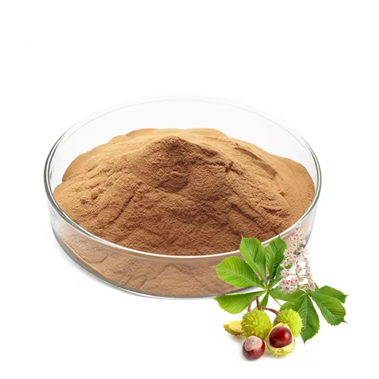 Aesculus Hippocastanum Extract 20%-98% Aescin Powder Horse Chestnut Extract powder