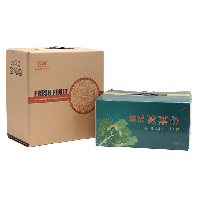 Biodegradable Pizza Fruit Beer Cans Frozen Food Cold Chain Transportation Box Insulated Cooler Food Packaging Custom Rigid Boxes