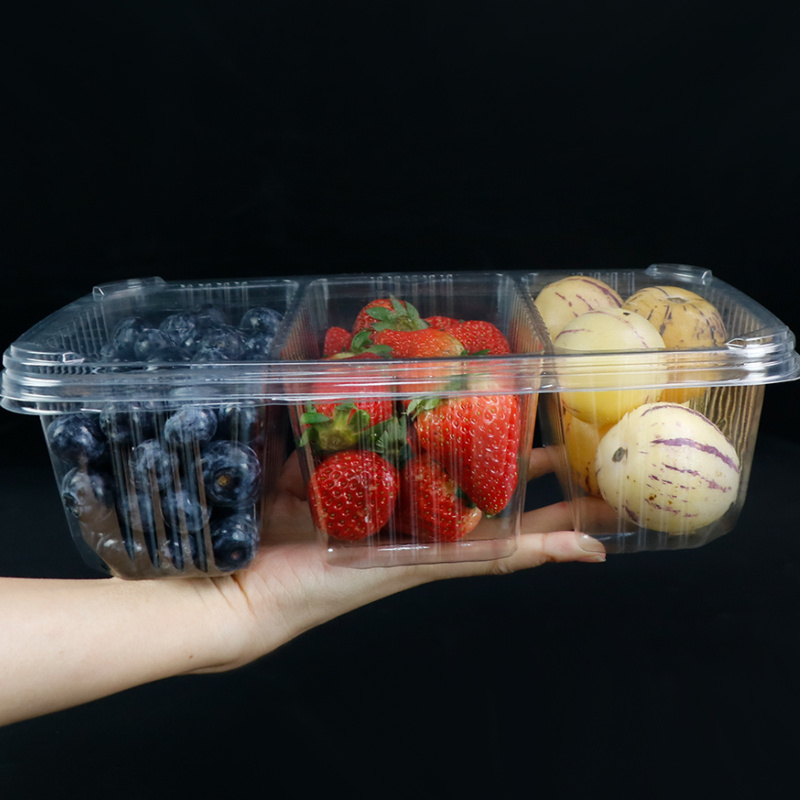 Fruit Salad Dressing Platter Salad Packaging Box Food Containers 3 Compartment Plastic Disposable Containers With Lids For Food