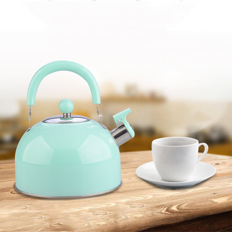 Quick Boiling Whistle Kettle Suitable for Gas Stove or Induction Cooker Teapot 2.5L Large Capacity Kettle