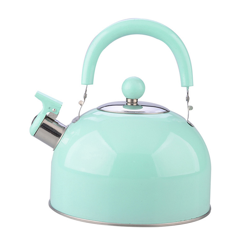 Quick Boiling Whistle Kettle Suitable for Gas Stove or Induction Cooker Teapot 2.5L Large Capacity Kettle