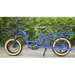 Long tail rear cargo electric bicycle  wholesale cargo ebike powerful electric cargo bike f