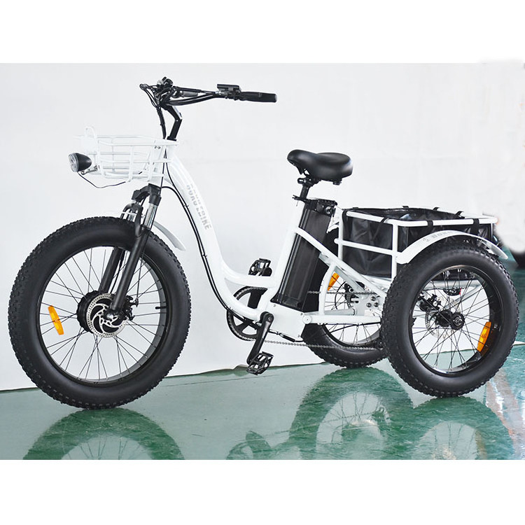 20inch Electric Cargo Bike Fat Tire Motorcycle Lithium Battery LCD 48V Aluminum Alloy Eec Trike Motorcycle 1000cc Automatic Open