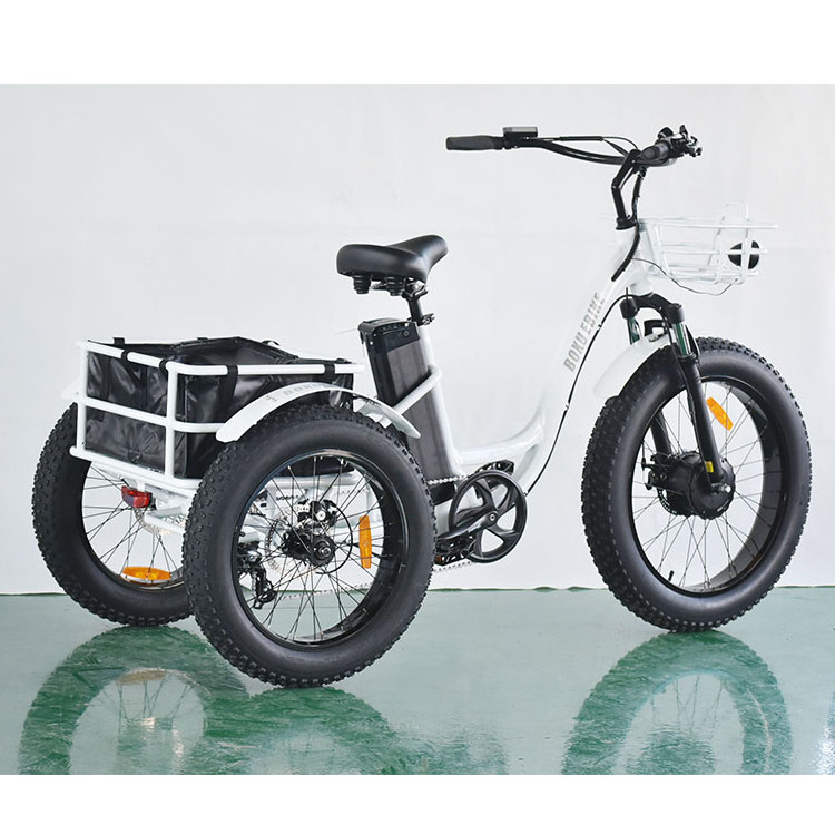 20inch Electric Cargo Bike Fat Tire Motorcycle Lithium Battery LCD 48V Aluminum Alloy Eec Trike Motorcycle 1000cc Automatic Open