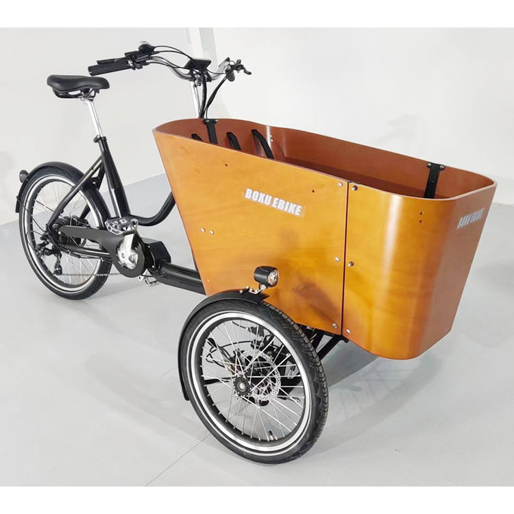 BOXU TD-S4 swing balance device 26 inch hydraulic brakes Electric long tail bike torque sensor cargo bike m620