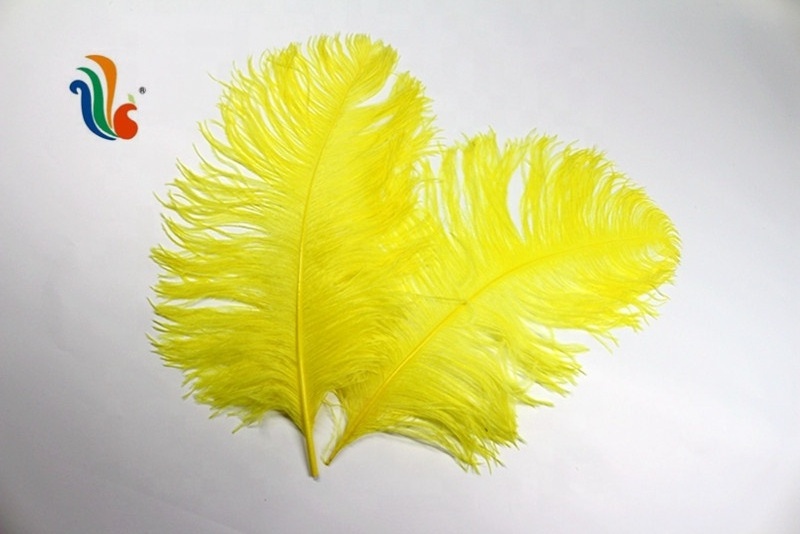 Party Decoration Supplies Ostrich Plumes Feather