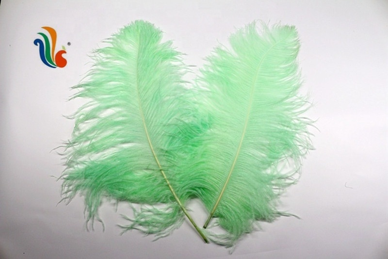 Party Decoration Supplies Ostrich Plumes Feather