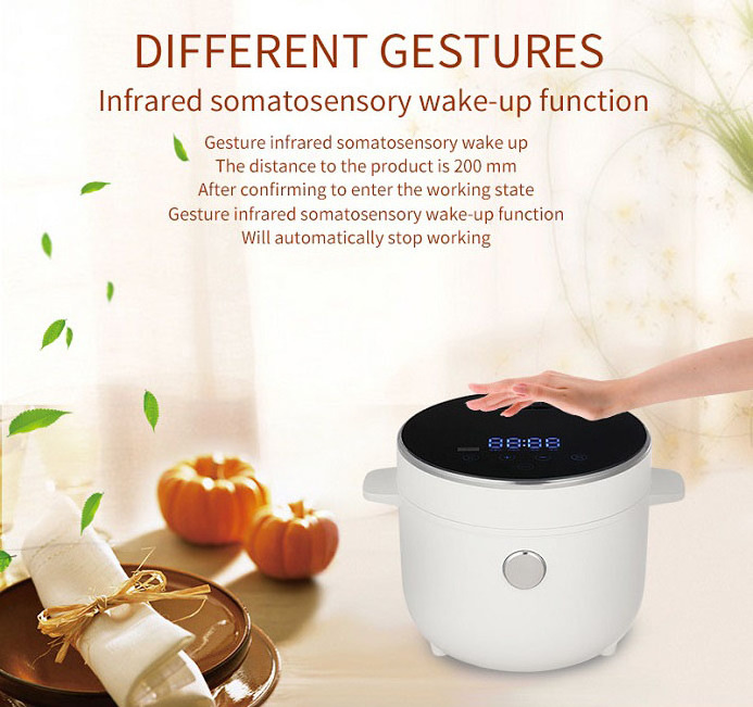 2L Nonstick Inner Pot 24 Hours Preset  Keep Warm Low sugar Low calorie Rice Cooker Digital Touch mini Rice Cooker