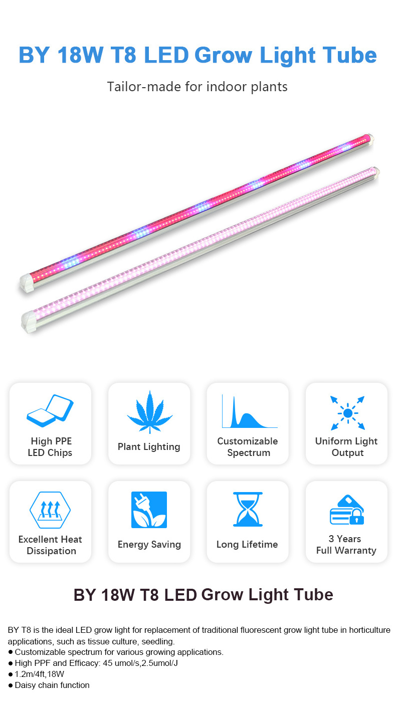 Zhongshan lights samnsung LM301B LM301H EVO t8 fluorescent reflectors indoor hydroponic farming led grow light