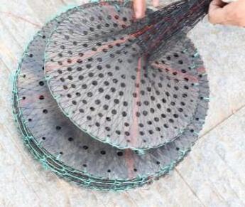 sea lives hardshell oyster scallop aquaculture farming cage pot fishery netting crab trap