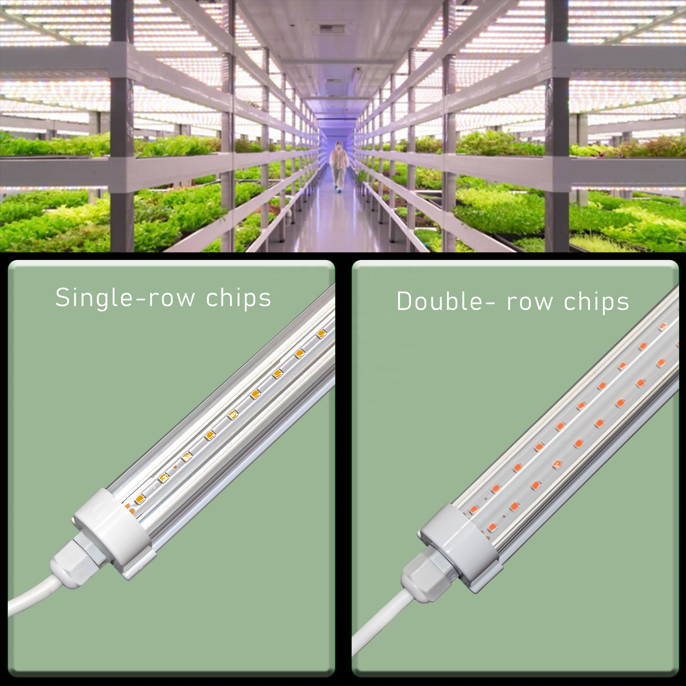 Farm seedling grow light Hydroponics Red white blue Linkable IP65 waterproof led Grow Light