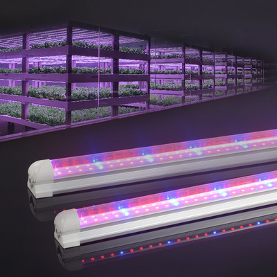 LED T8 tube light 4ft 1200mm 36W plant grow light full spectrum customized apply for kinds of plants