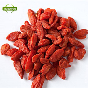 Goji berry, dried goji berries