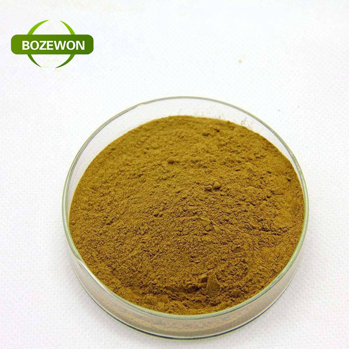 Free Samples Luo Han Guo Extract, Monk Fruit Sweetener, Monk Fruit Extract Mogroside V 60%