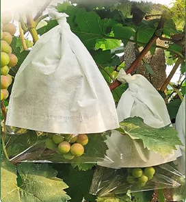 Mango Fruit Protection Bags Grape Protect Growing Paper Bag Factory Agriculture Heat Seal Wax Coated Paper Fruit Bag