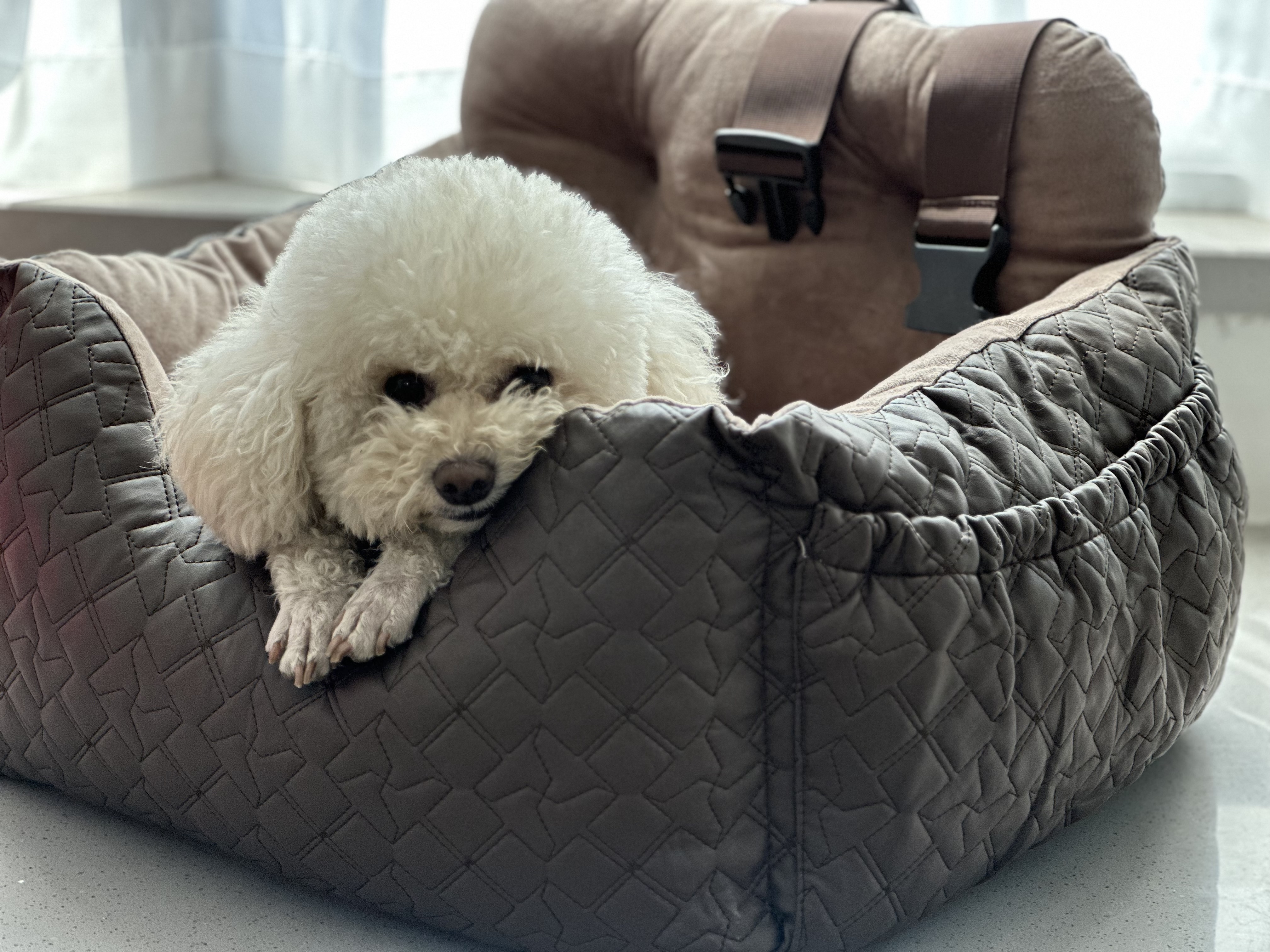 2023 PU Leather Dog Booster Seat Warm Dog Travel Bed Luxury Pet Car Safety Seat For Travel Small Medium Dogs