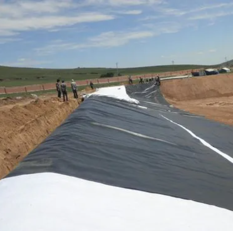 0.2-3mm Thick  HDPE Plastic Geomembrane for Fish Farming Dam Water Tank Pond Liner