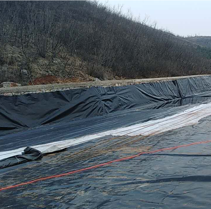 0.2-3mm Thick  HDPE Plastic Geomembrane for Fish Farming Dam Water Tank Pond Liner