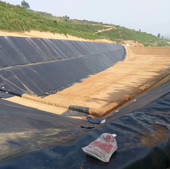 0.2-3mm Thick  HDPE Plastic Geomembrane for Fish Farming Dam Water Tank Pond Liner