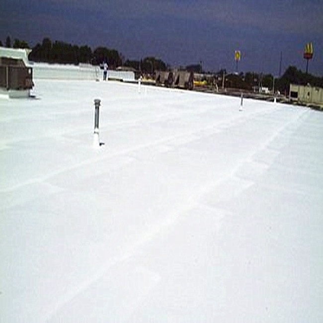 Roofing Materials Cheap TPO Waterproof Coiled White Membrane