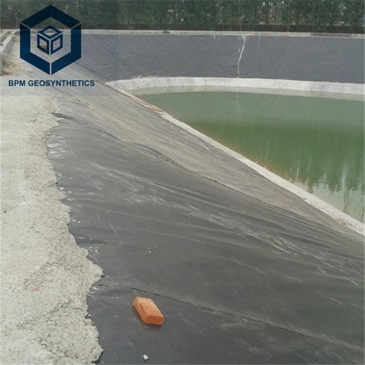 Best sales 0.5mm Geomembrane Liner HDPE Price for Aquaculture in Philippines