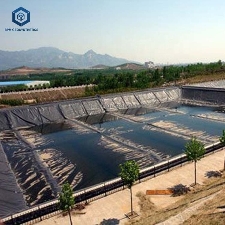 High Quality Smooth Reinforced Polyethylene HDPE Geomembrane Plastic Fish Pond Liners Film for Aquaculture in Thailand