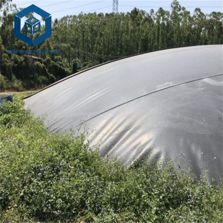 2mm HDPE Geomembrane Pond Liner Erosion Control Mat for Biogas Digester in Philippines