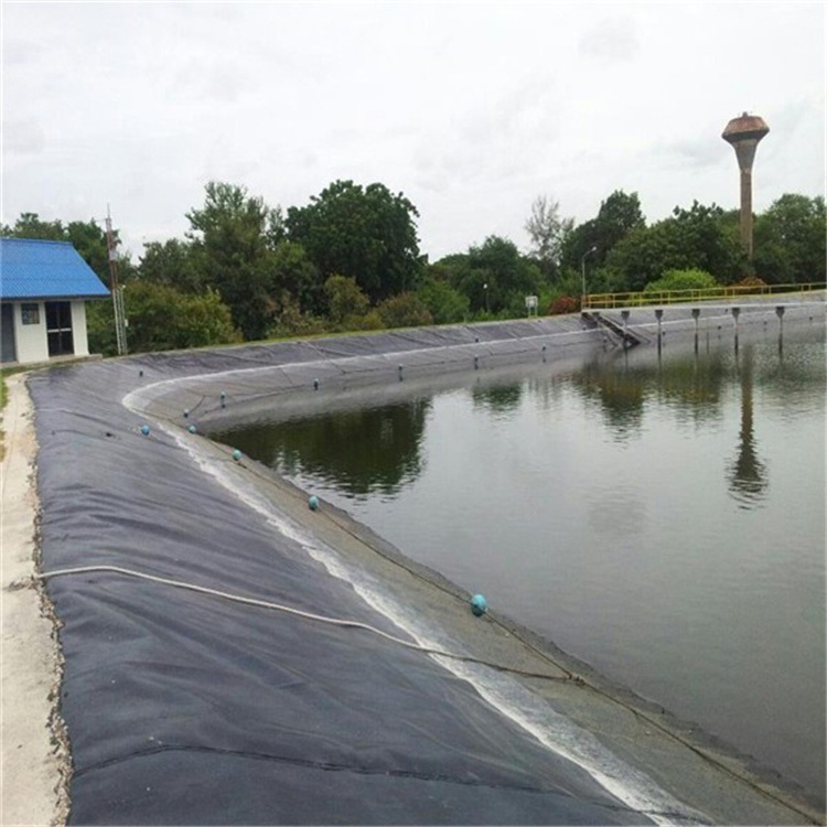 Best sales 0.5mm Geomembrane Liner HDPE Price for Aquaculture in Philippines