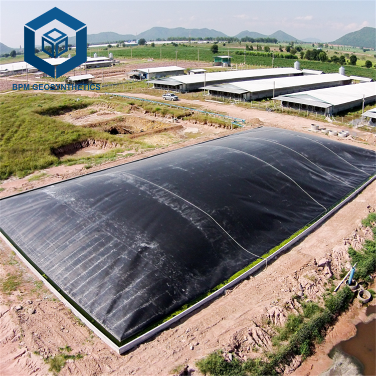 2mm HDPE Geomembrane Pond Liner Erosion Control Mat for Biogas Digester in Philippines