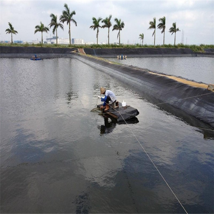 Best sales 0.5mm Geomembrane Liner HDPE Price for Aquaculture in Philippines