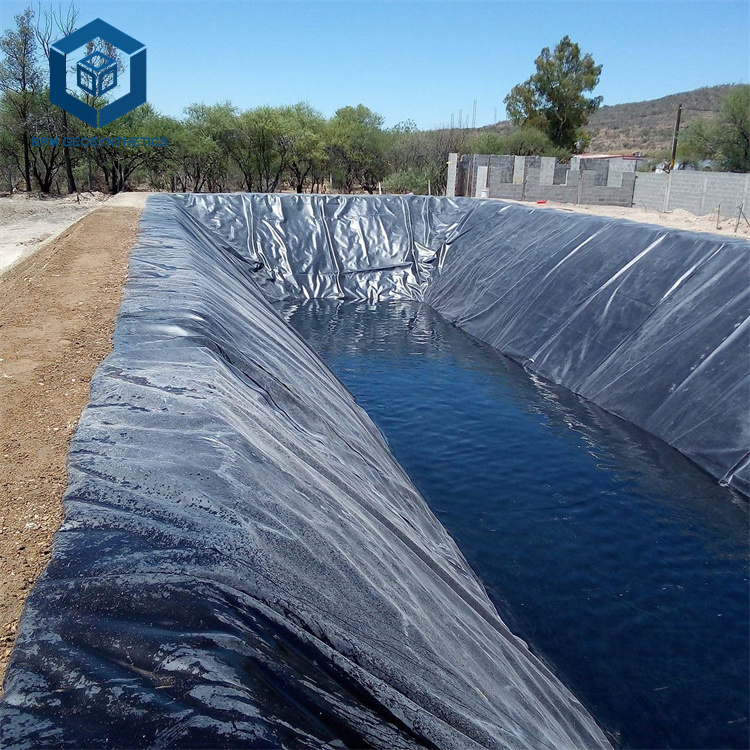 Impermeable Blue Geomembrane Pond Liner 2mm Thickness Roll for Artificial Lake