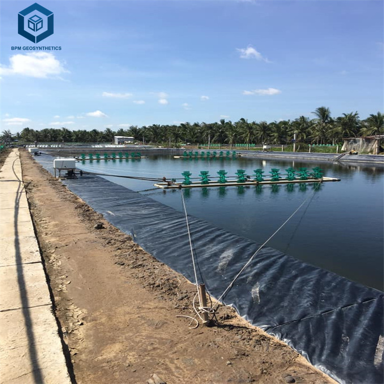 Large Plastic Pond Liner for Aquaculture in Malaysia