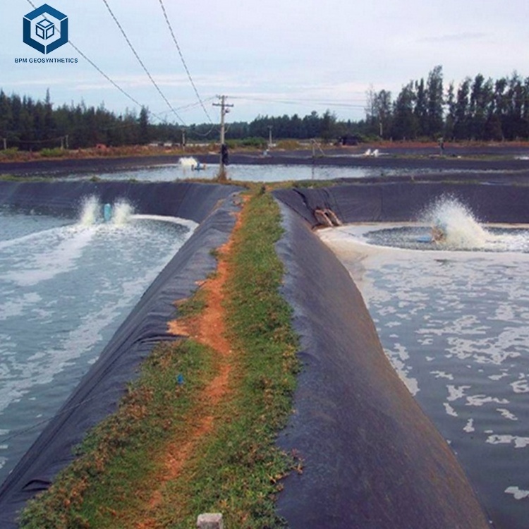 Earthwork Products Geomembrane Floating Shrimp Farms Water Tank Liners Aquaculture Pond Liners HDPE Smooth Geomembrane