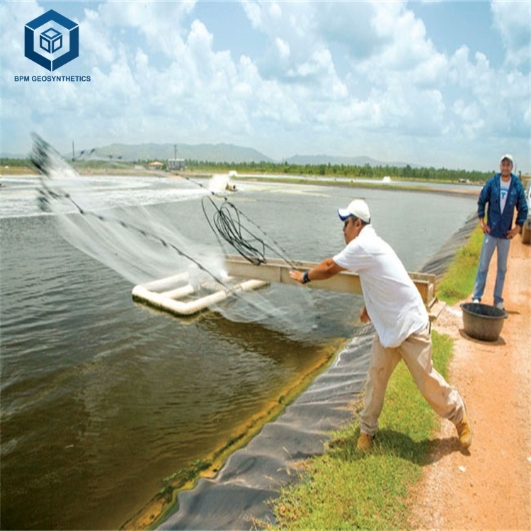 Preformed Polyethylene Geomembrane Pond Liner 0.5mm Price Impermeable Fish Farm Pond Liner for Aquaculture in Thailand