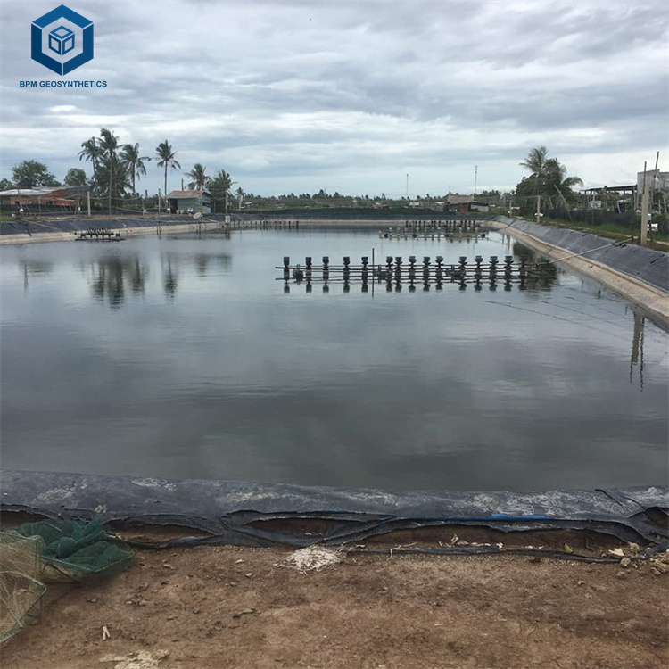 Large Plastic Pond Liner for Aquaculture in Malaysia