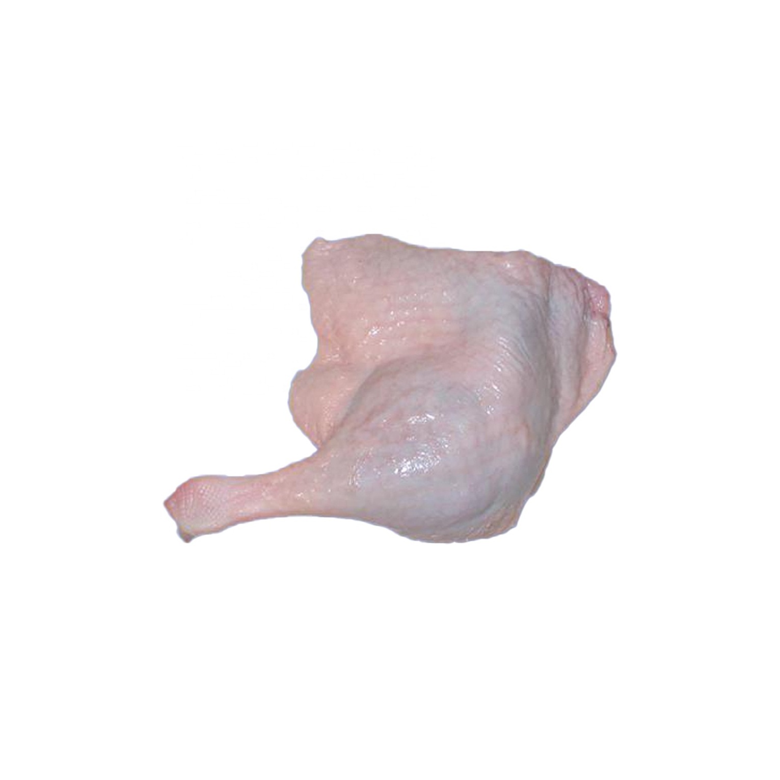 Frozen Clean Duck Meat Healthy and 100% pure Duck