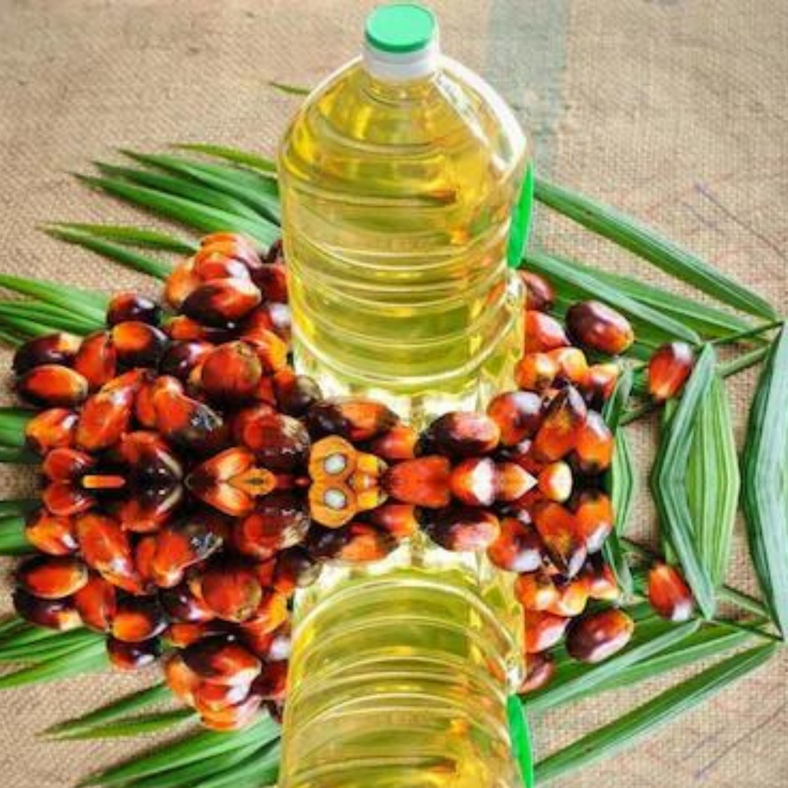 Refined Palm Cooking Oil Edible RBD Palm Oil 100 Pure Vegetable Cooking Palm Oil Plastic Packaging 1L, 2L, 5 Litre Bottles