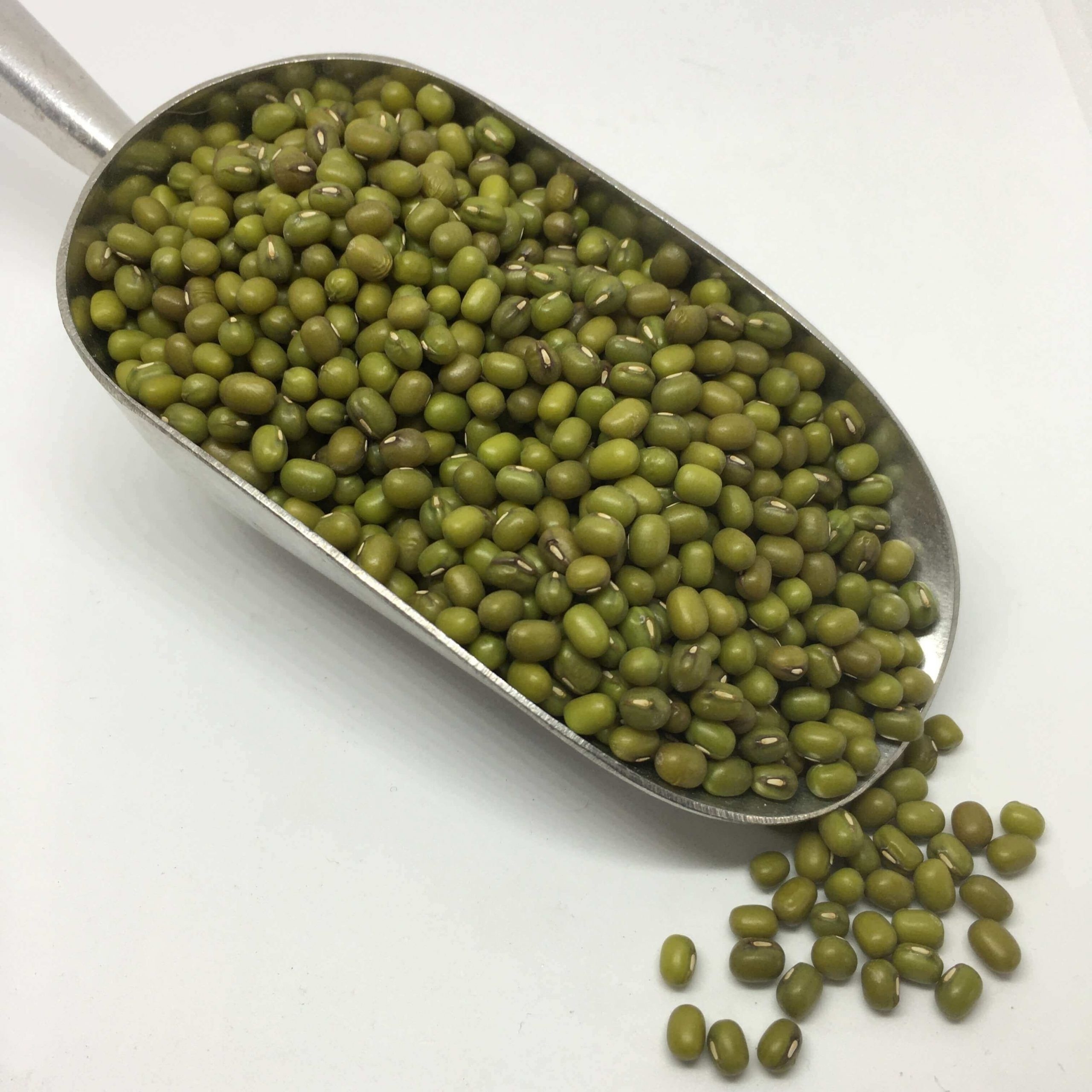 High quality Wholesale Natural Bulk Big Mung Beans