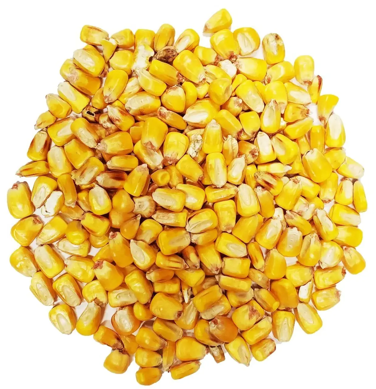 Frozen Whole Vegetables Sweetcorn Kernel Corn Cob Cutting Machine Frozen Corn Yellow Corn