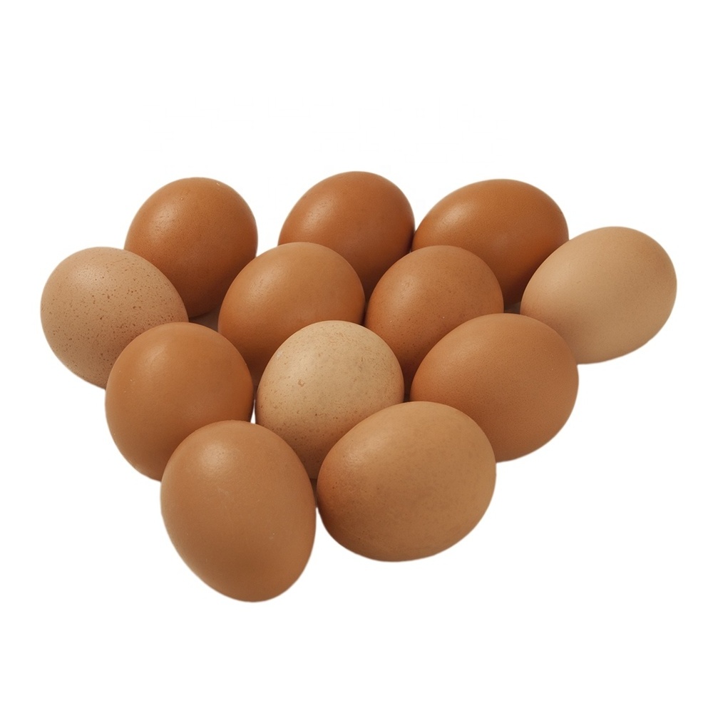 Fertile Hatching Chicken Egg/Fresh Chicken Table Eggs