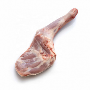 Wholesale Price Supplier of Frozen Greek lamb chop Bulk Stock With Fast Shipping