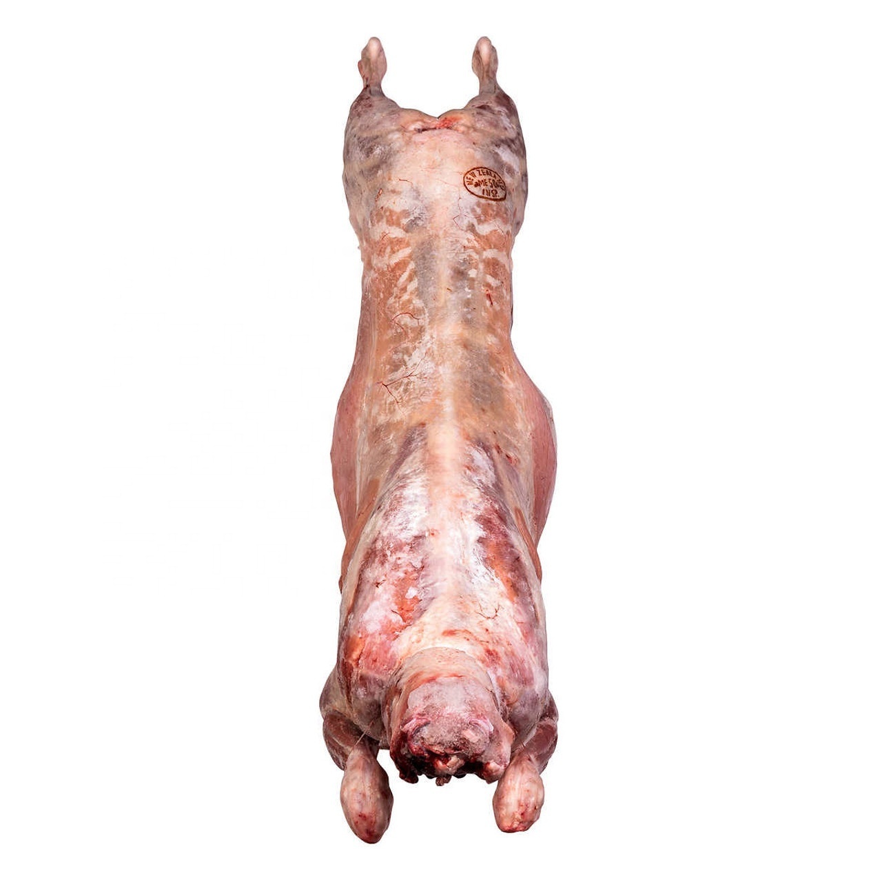 Wholesale Price Supplier of Frozen Greek lamb chop Bulk Stock With Fast Shipping