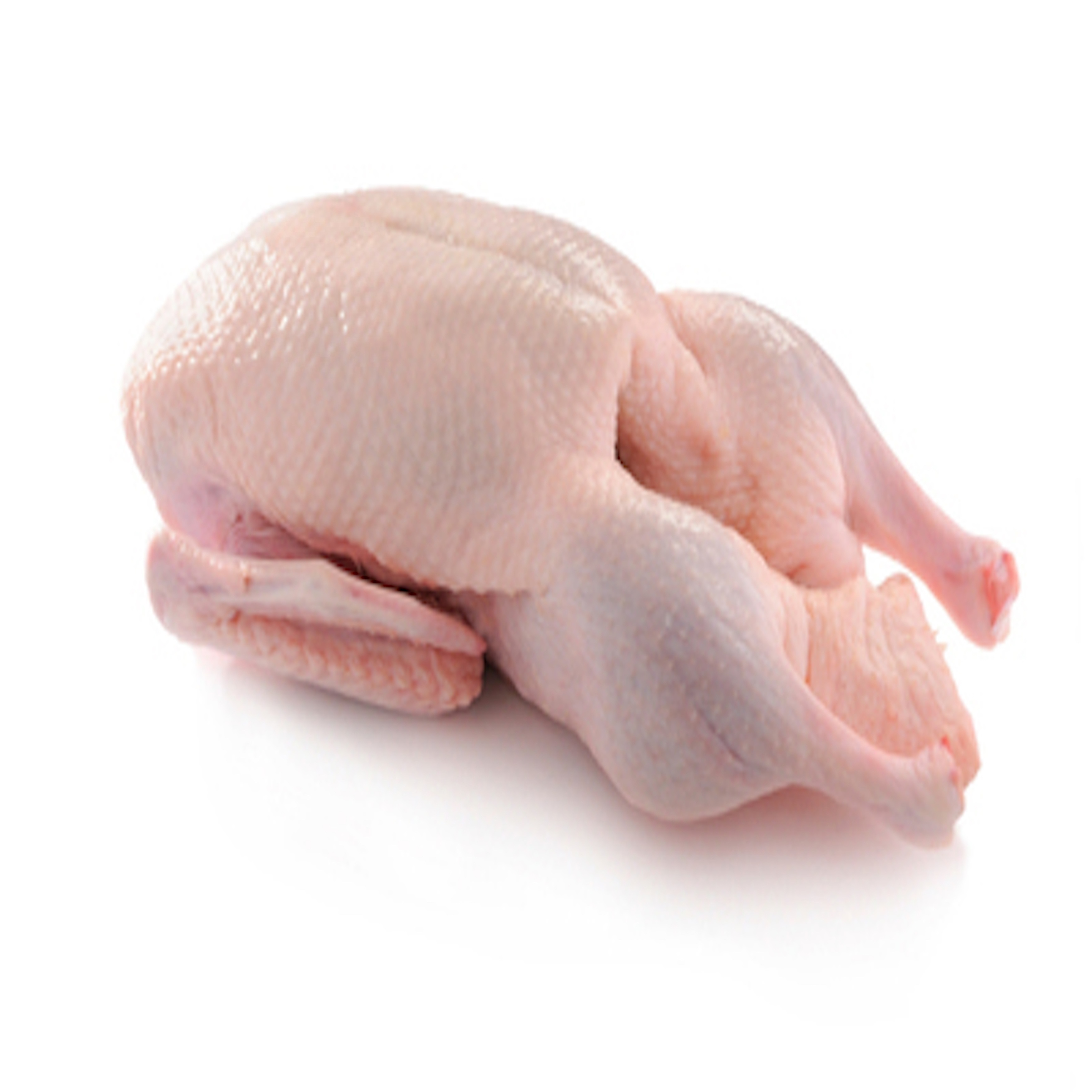 Frozen Clean Duck Meat Healthy and 100% pure Duck