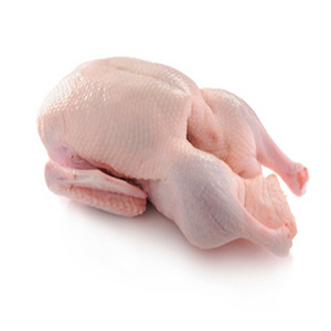 Frozen Clean Duck Meat Healthy and 100% pure Duck