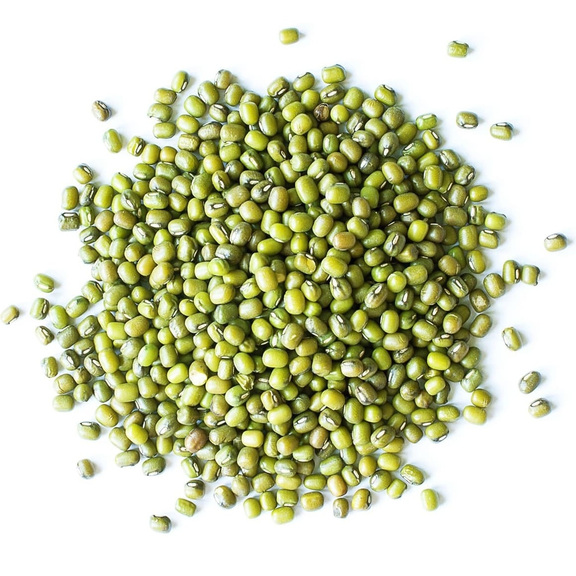 High quality Wholesale Natural Bulk Big Mung Beans