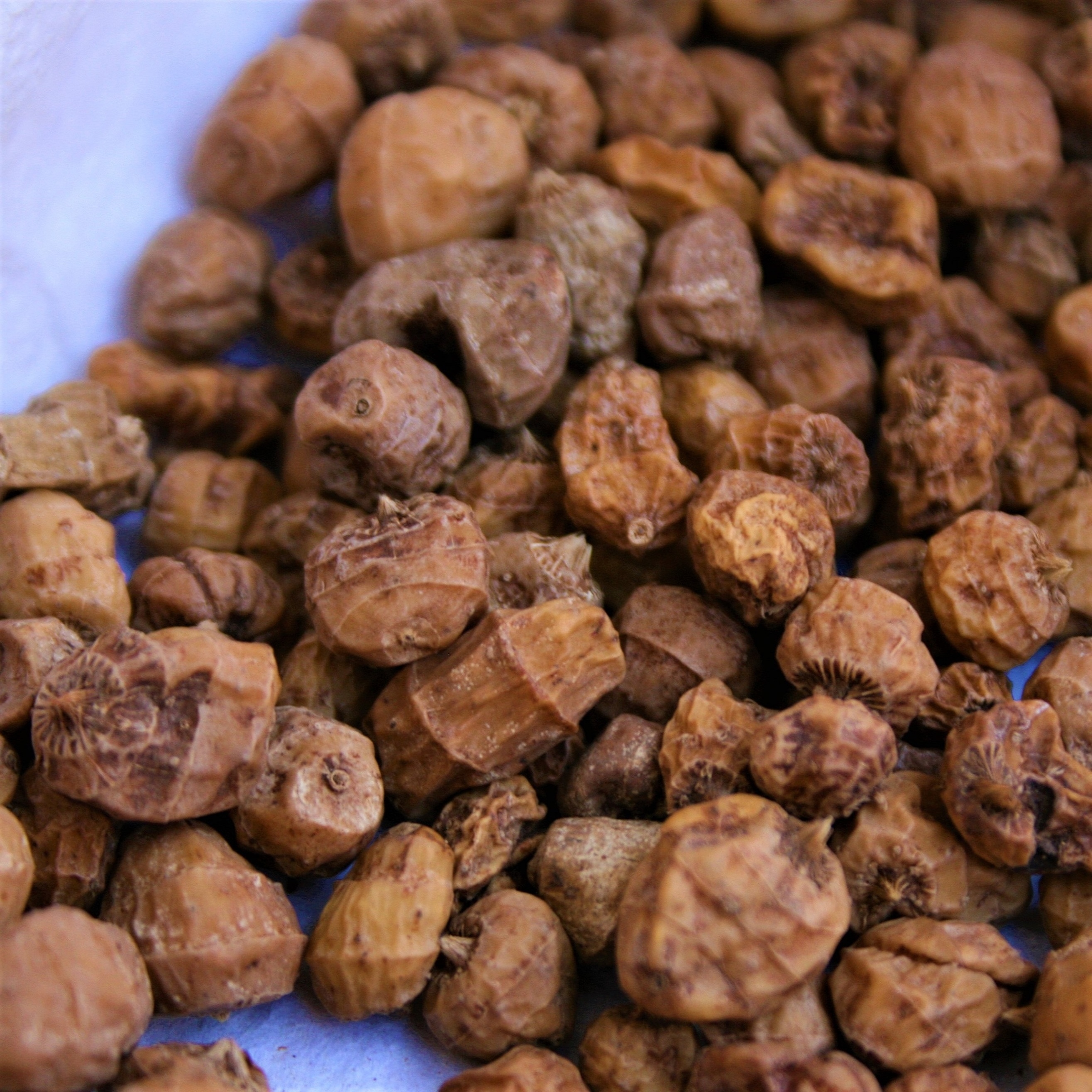 Wholesale Price Tiger Nuts Standard 8-11 mm