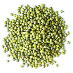 Wholesale Export Dry Health 100% nature green mung beans