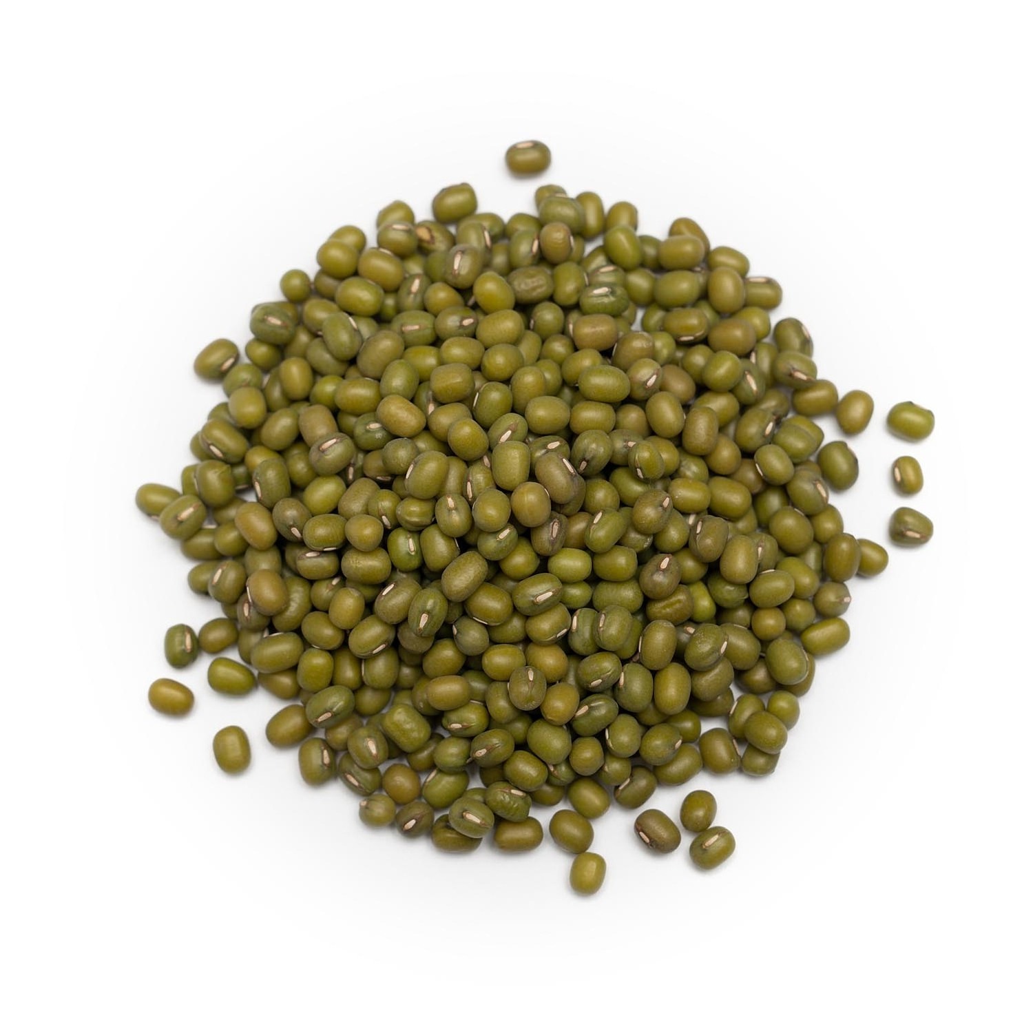 Wholesale Export Dry Health 100% nature green mung beans