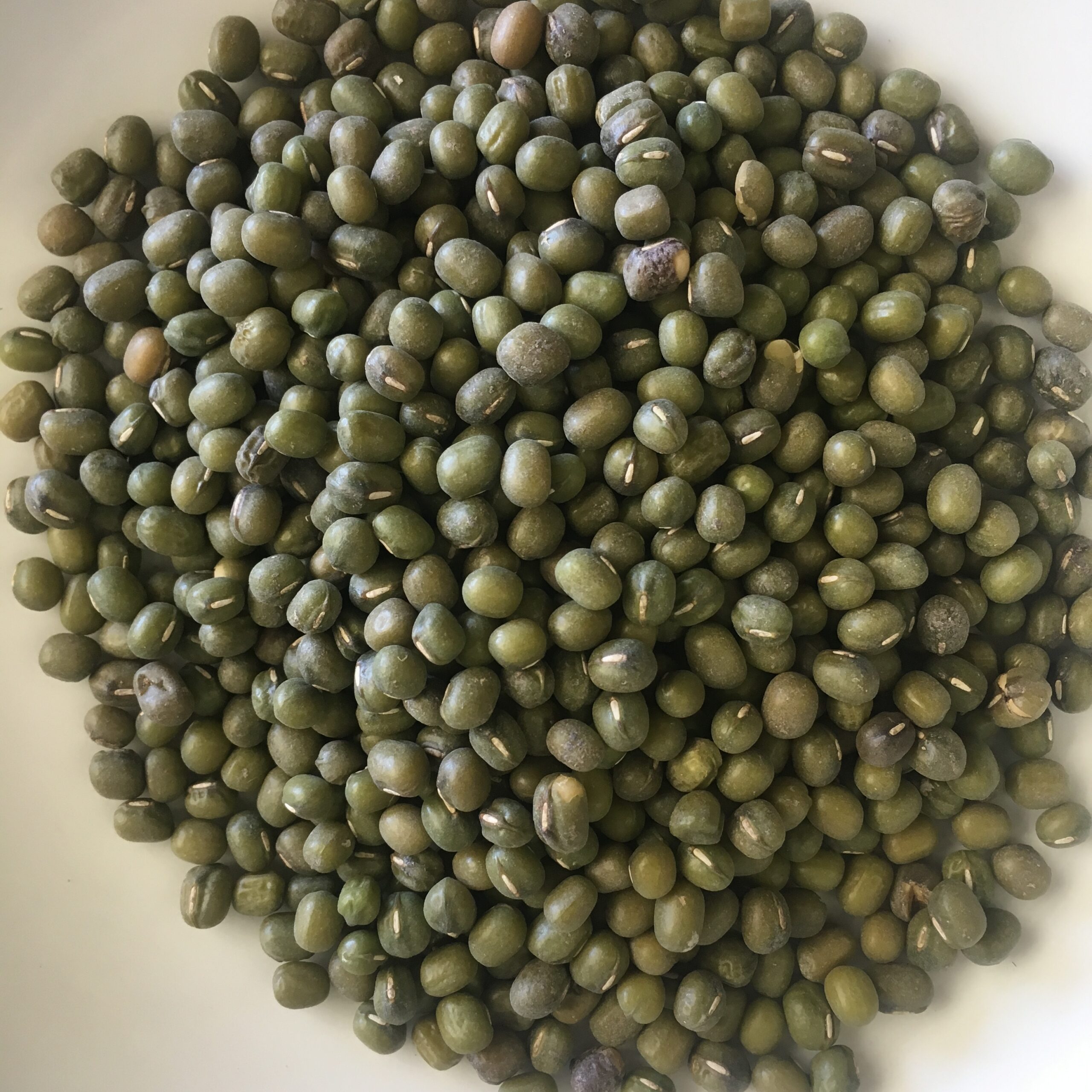 Wholesale Export Dry Health 100% nature green mung beans